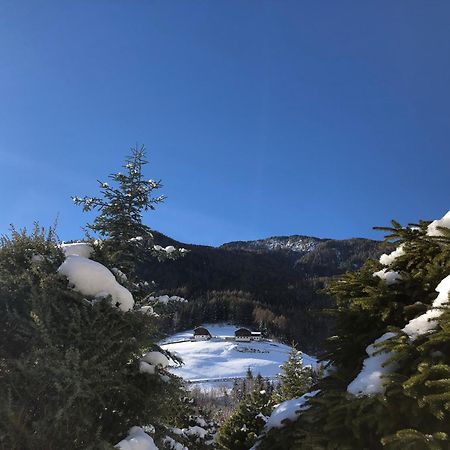 Residenz Feldmuehle Unterhalb Der Burg Taufers Lejlighed Campo Tures Eksteriør billede